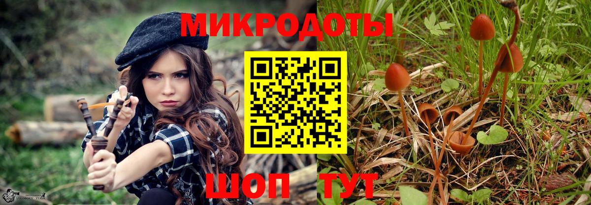 Галлюциногенные грибы GOLDEN TEACHER Электросталь
