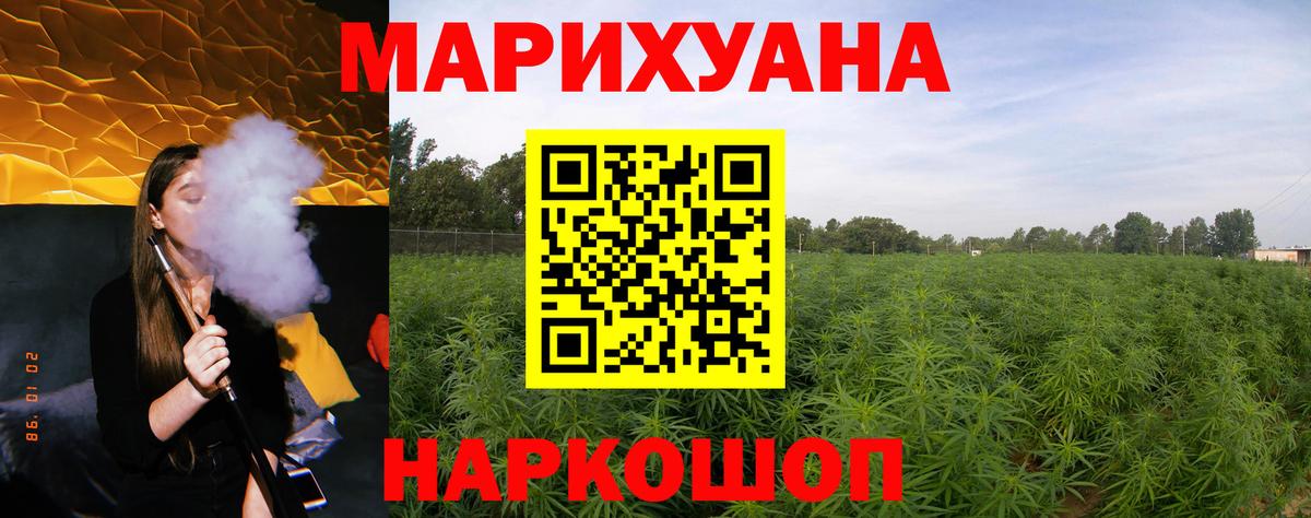 Бошки марихуана OG Kush  Канабис индика  Вход с VPN  Канабис индика  Электросталь 
